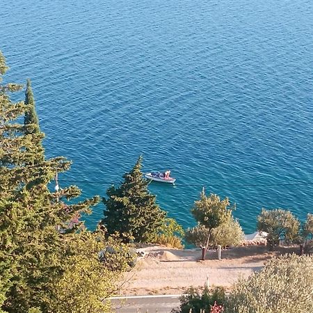 Apartment Mate Starigrad Paklenica Exterior foto